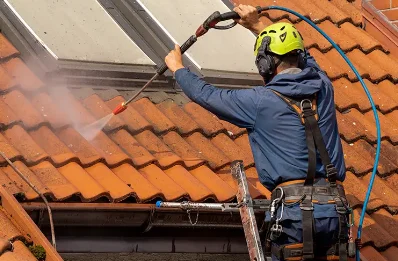 Démoussage et hydrofuge de toiture à Moyrazès